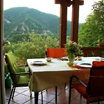 فيلة Panorama Artist *