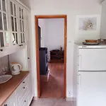 فيلة Panorama Artist