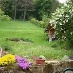 فيلة Panorama Artist