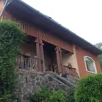 فيلة Panorama Artist