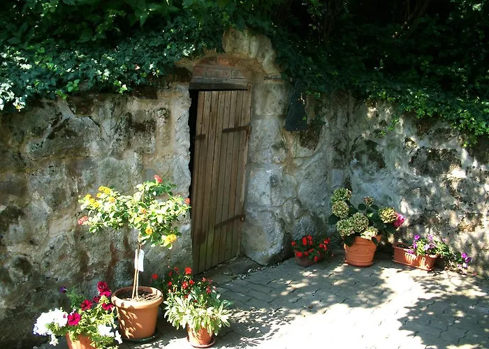 Villa Panorama Artist Dömös